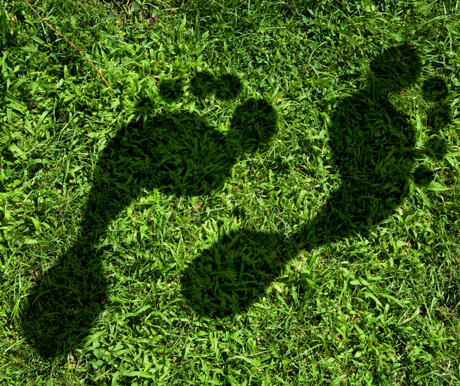 Grassy floor with dirty footprints representing your carbon footprint.